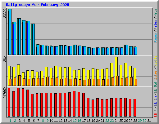 Daily usage for February 2025