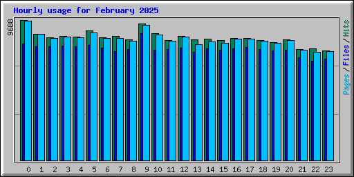 Hourly usage for February 2025