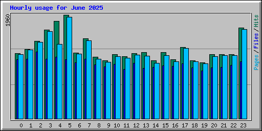 Hourly usage for June 2025