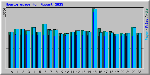 Hourly usage for August 2025