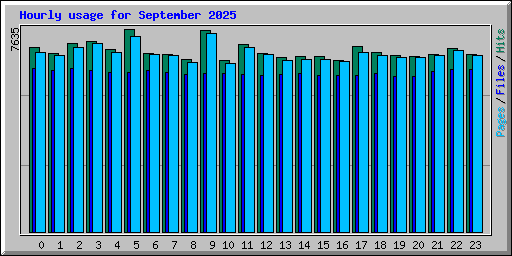 Hourly usage for September 2025