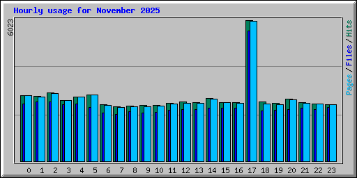 Hourly usage for November 2025