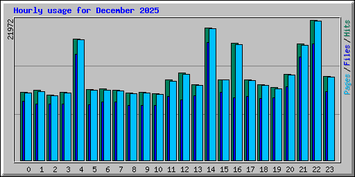 Hourly usage for December 2025