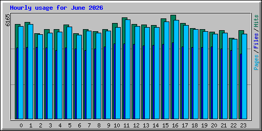 Hourly usage for June 2026