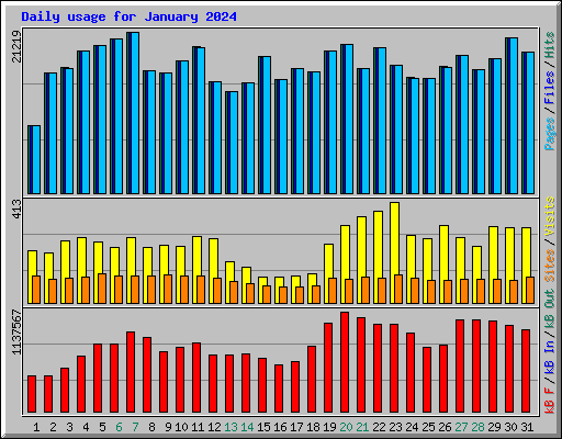 Daily usage for January 2024