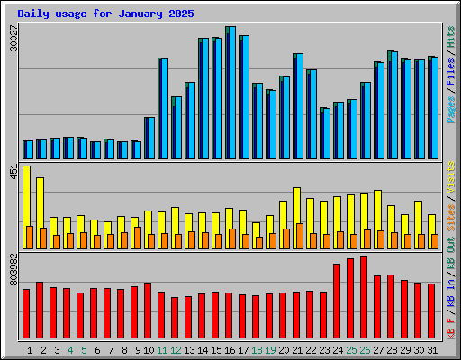 Daily usage for January 2025