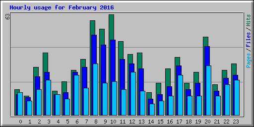 Hourly usage for February 2016