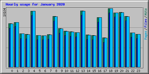 Hourly usage for January 2020