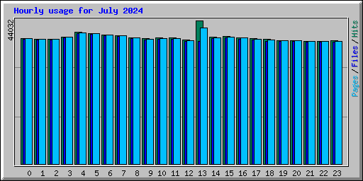 Hourly usage for July 2024