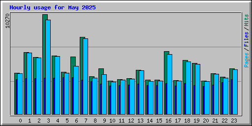 Hourly usage for May 2025