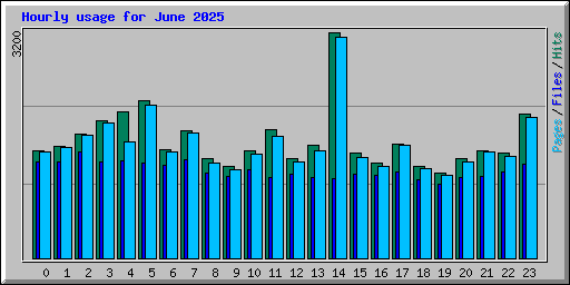 Hourly usage for June 2025