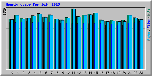 Hourly usage for July 2025
