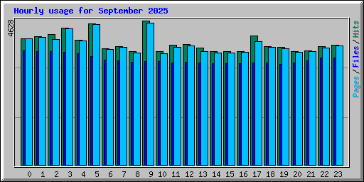 Hourly usage for September 2025