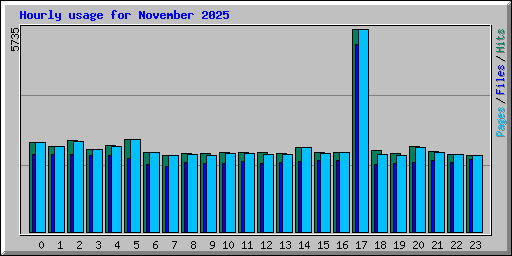 Hourly usage for November 2025
