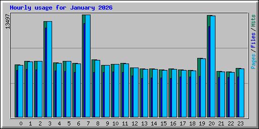 Hourly usage for January 2026