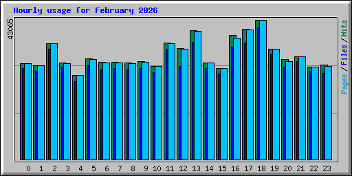 Hourly usage for February 2026