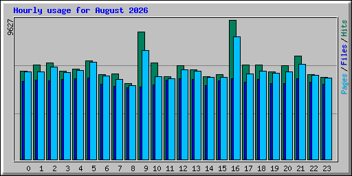 Hourly usage for August 2026